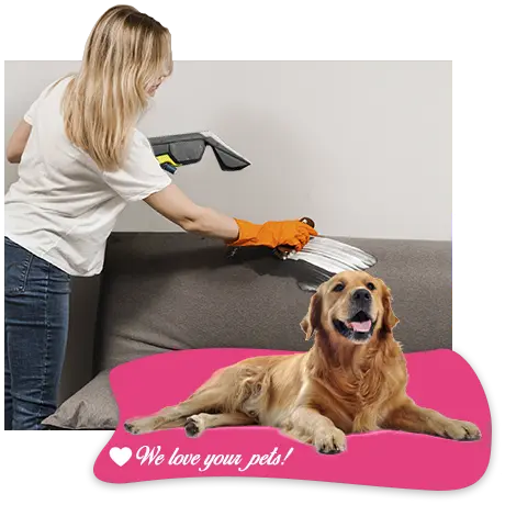 Pet Cleaning